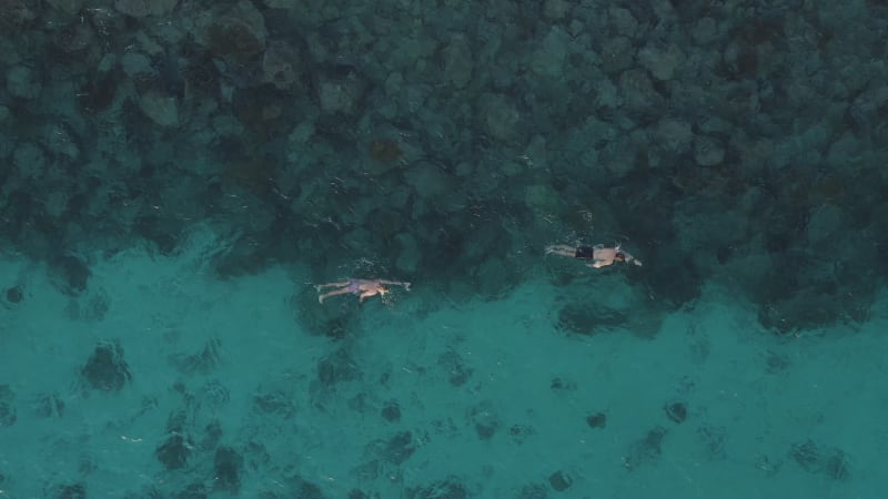 Aerial View of Swimmers Gathering at Mambo Beach, Curacao