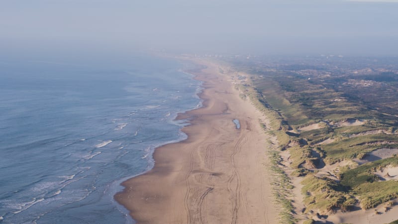 Dutch Beach Surrounded By Ocean, Vegetation