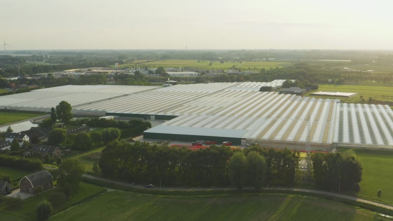 Panning shot of vast growing greenhouses