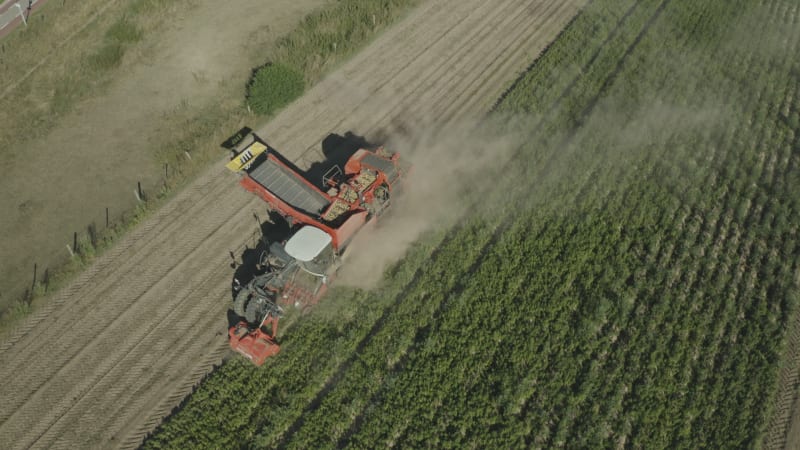 In August 2022, an aerial view captured a farmer harvesting potatoes amidst a drought in the Netherlands.