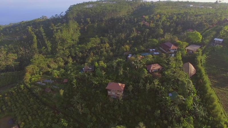 Aerial view of tropical forest and residential village, Bali island.