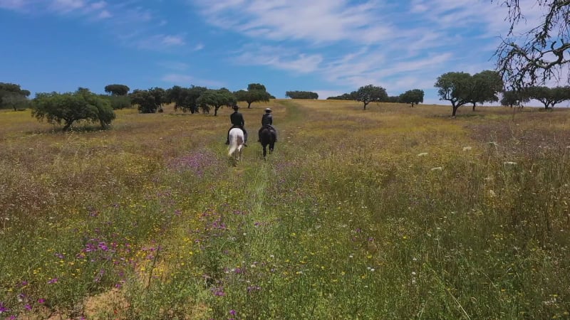 Aerial view of horse back riders on large ranch estate.