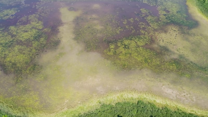 Aerial view of partly dried out lake, Buurserzand, Overijssel, Netherlands.