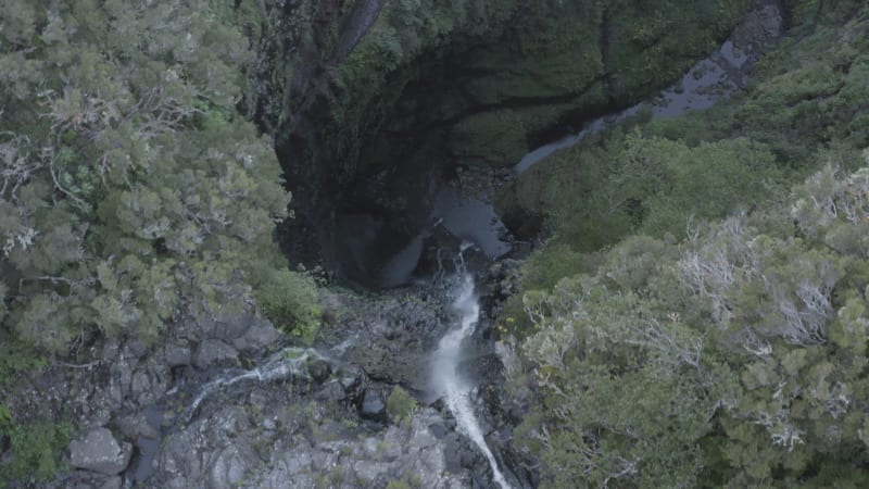 Aerial view of the Risco Waterfall in Madeira, Portugal.