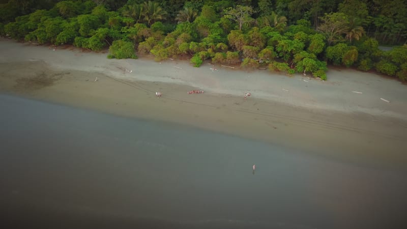 Aerial view of beach at sunset in Central America.