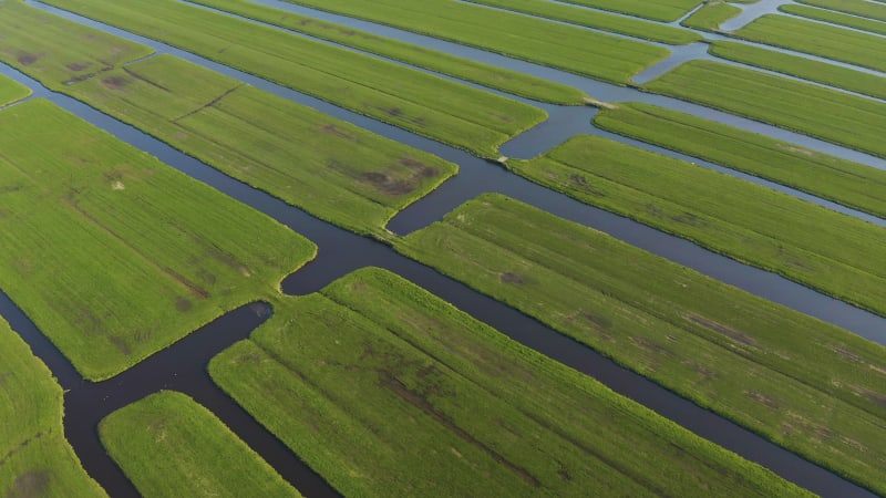 Panning aerial of lush green irrigated fields