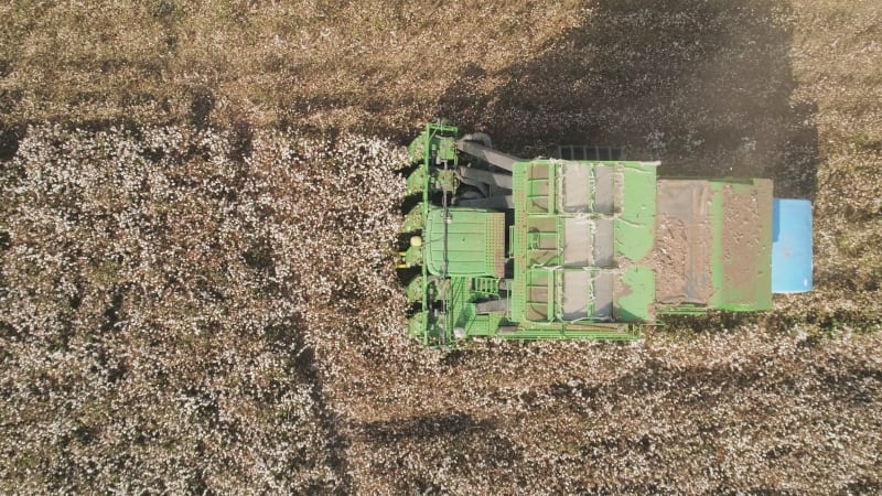 Aerial view of combine picking cotton, Kibbutz Saar, Mate Asher, Israel.