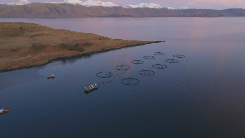 Aquaculture Salmon Farming in Scotland at Sunrise