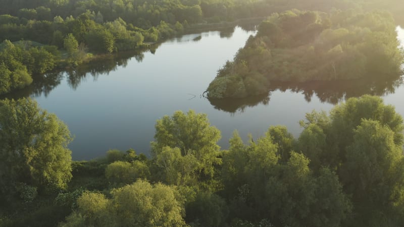 Aerial view of a lake surrounded by green forest