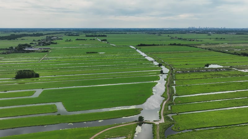 Agricultural Scenery in Krimpenerwaard, Netherlands