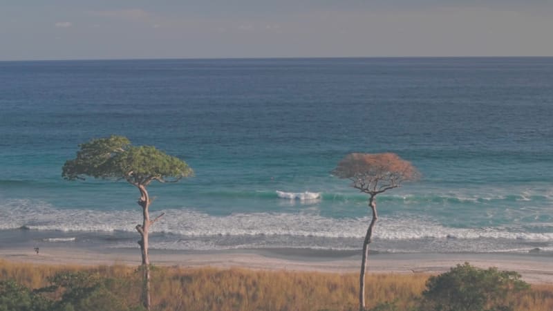 White sandy beach near Nosara, Guanacaste, Costa Rica. Aerial drone view