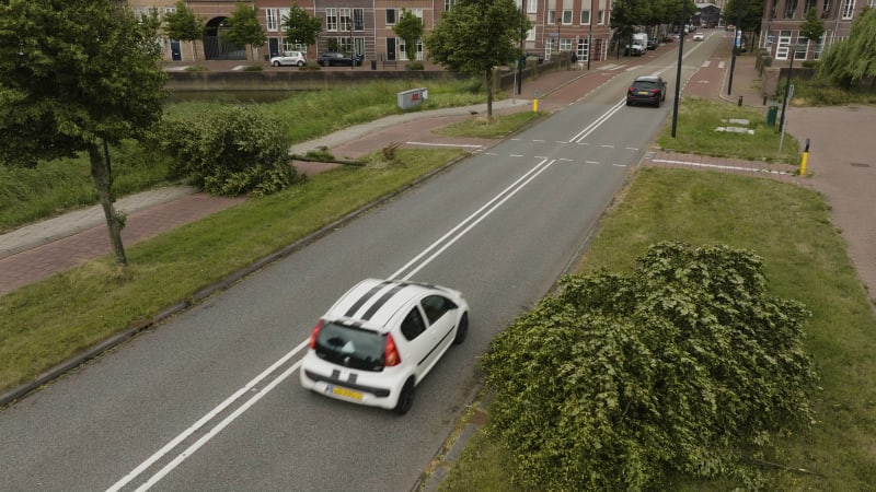 Aerial view of a fallen tree post-storm Poly in Heemskerk, Netherlands. July 2023.