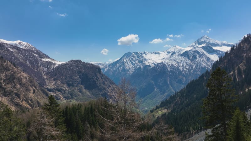 Overhead Perspective of Piemont's Forests and Rocky Mountains