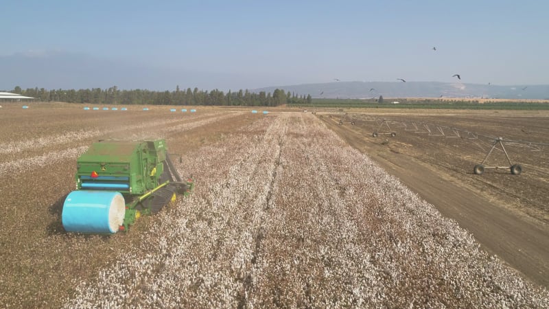 Aerial view of combine picking cotton, Kibbutz Saar, Mate Asher, Israel.