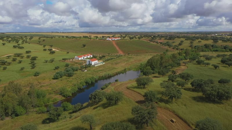 Aerial view of house and swimming pool.