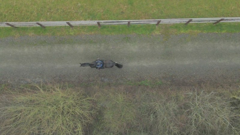 A Horse Rider on a Hack Alongside Woods and Paddocks Bird's Eye View