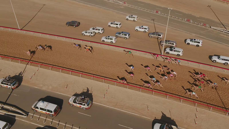 Aerial view of a group of camels during a race in the desert.