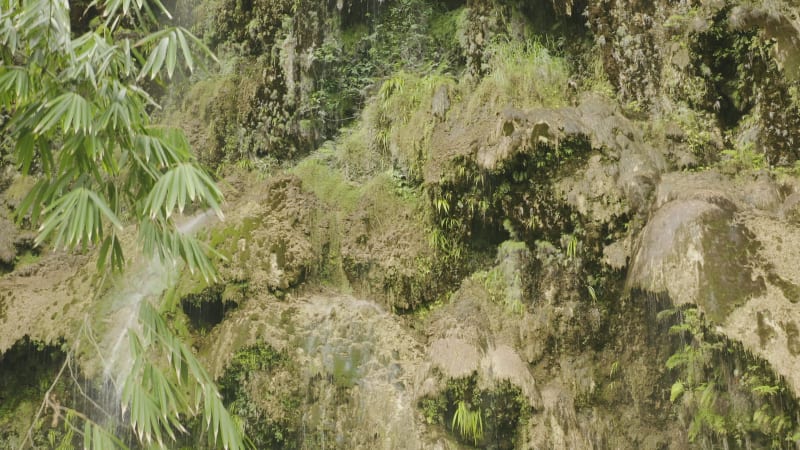 Descending down a jungle waterfall in humid rainforest, the Philippines