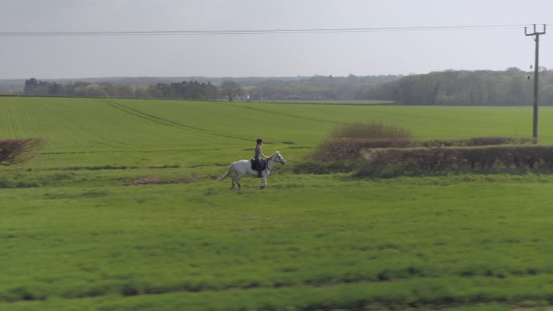 Horse Rider in the Countryside Cantering