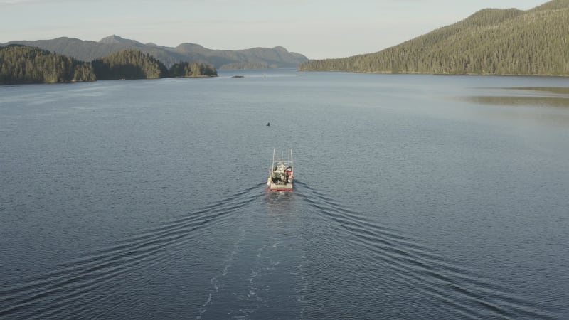 Aerial view of a commercial fishing boat in the Inside Passage