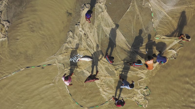 Aerial view of people using large fishing nets along the shoreline on the river, Bangladesh.