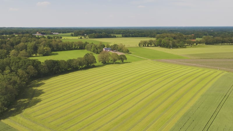 Aerial view of countryside with mowed grass, Twente, Overijssel, Netherlands.