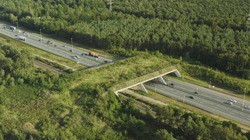 Wildlife bridge ecoduct over a busy road in the Netherlands