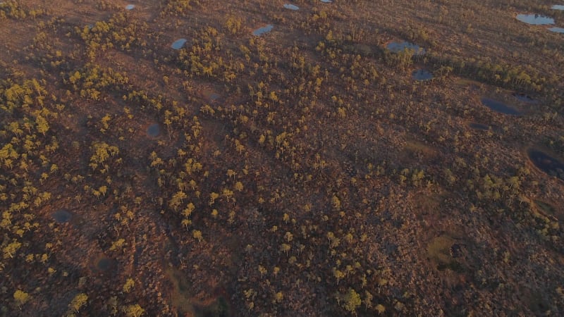 Aerial view of Hullo, Lääne County.