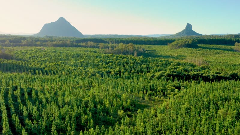 Aerial view of the Glass House Mountains, Sunshine Coast Hinterland.