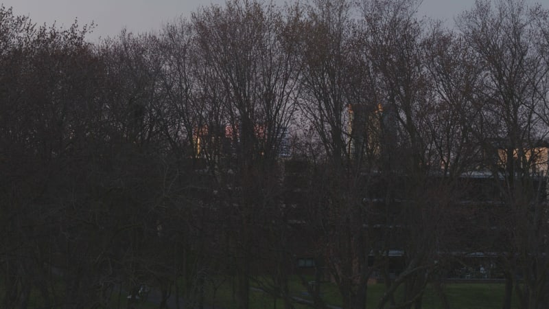 Reveal Shot of Utrecht City Skyline and Business District