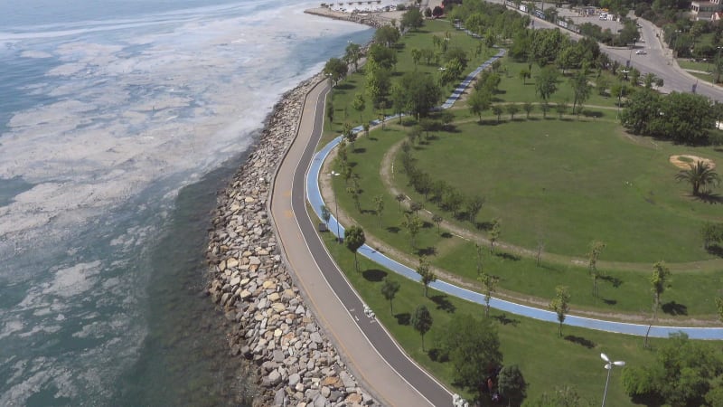 Aerial view of mucilage along the coast near the harbour at the Marmara Sea coast of Istanbul, Turkey.