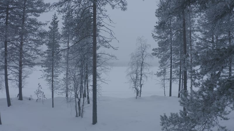 Flying towards snow covered frozen lake through the forest