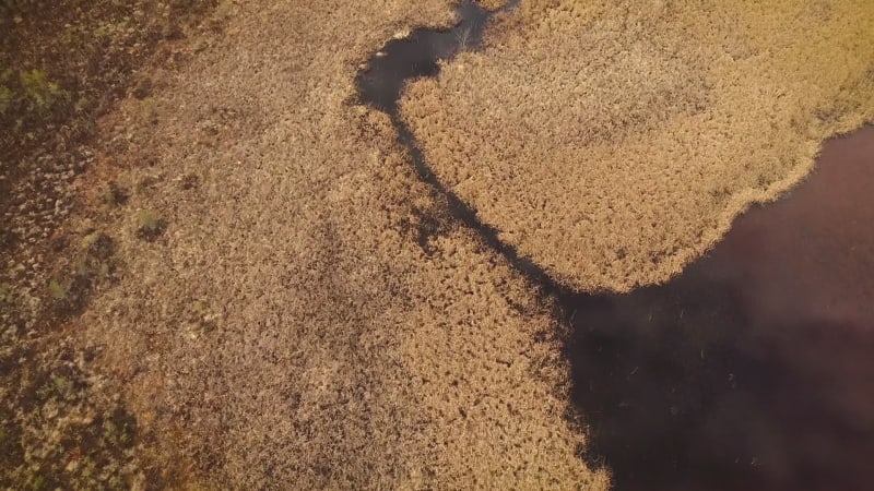 Aerial view of amazing surreal landscape around Valgejarv lake.