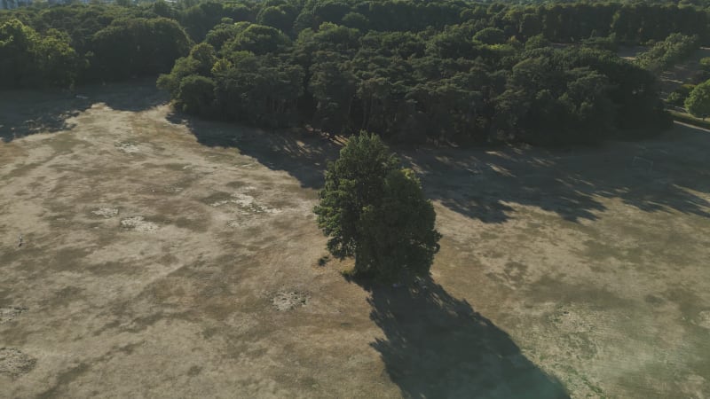 Goffertpark Aerial View in Nijmegen, Netherlands During Drought