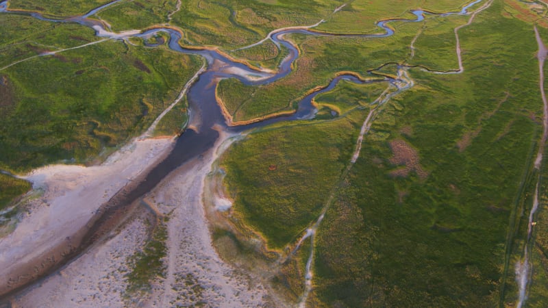 Bird's Eye Of Diverging River In The Netherlands