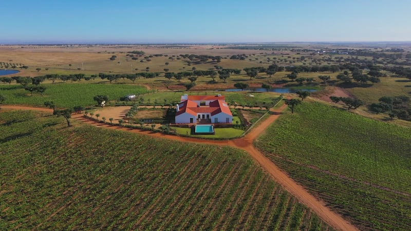 Aerial view of house and swimming pool.