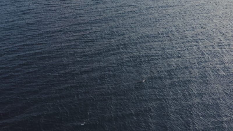 Aerial View of Tranquil Ocean in Curacao