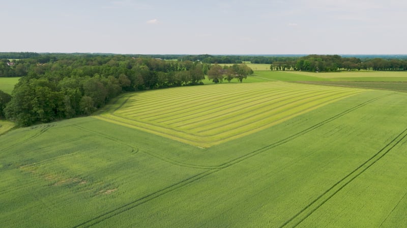 Aerial view of countryside with mowed grass and barley, Twente, Netherlands