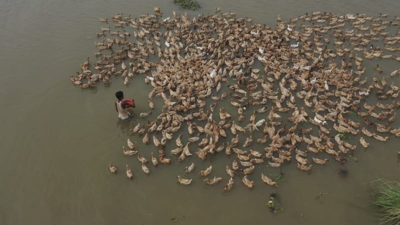 Aerial View of a fisherman along Baulai river in Sylhet state, Bangladesh.