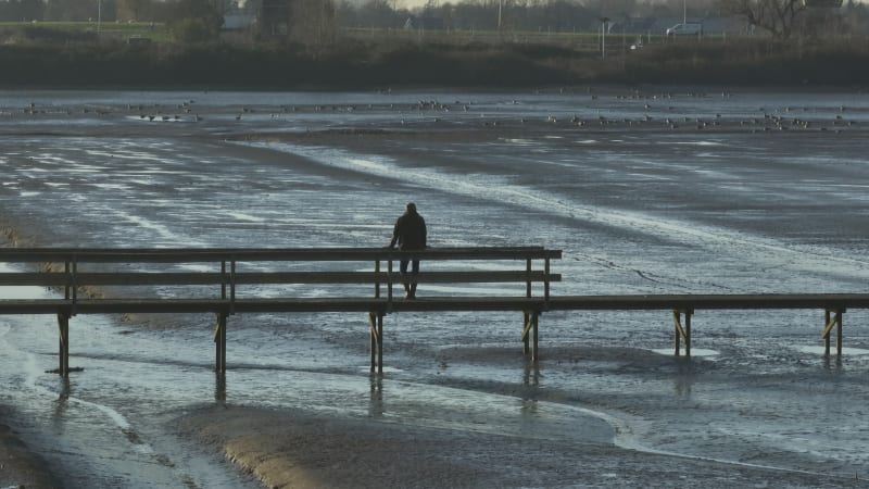 Sophiapolder Tidal Region during Dusk