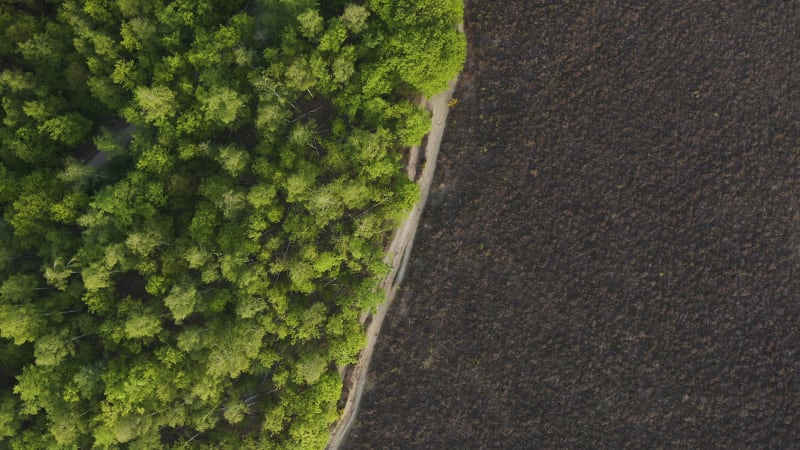 Rotating aerial view of a green forest and a field separated by a dirt road.