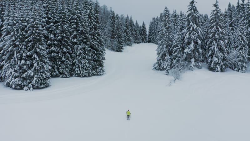 Aerial view of a woman doing cross country skiing, Onnion, France.