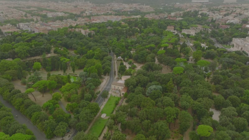 High angle view of green trees and vegetation in city park. Place for walk and relax in nature in town. Rome, Italy