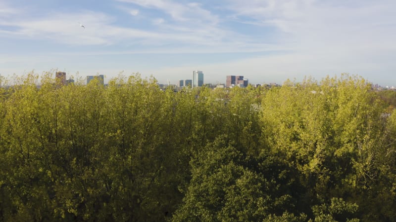 Aerial Reveal of the Utrecht Skyline from Hooggraven Utrecht