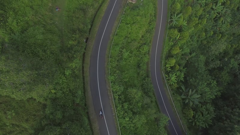 Aerial view of a road going between dense forest, Bali island.