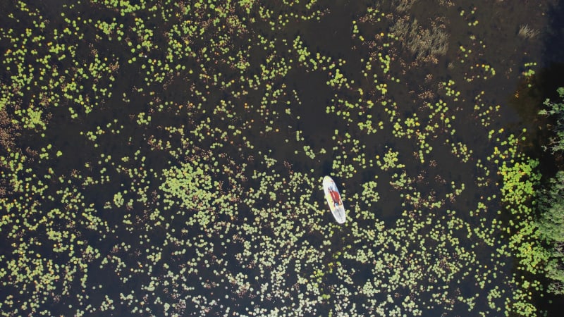 Aerial view of a person doing kayak in a lake in Scotland, United Kingdom.