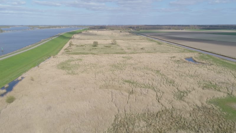 Aerial view of nature reserve Roggebotveld in the polder Flevoland, Netherlands