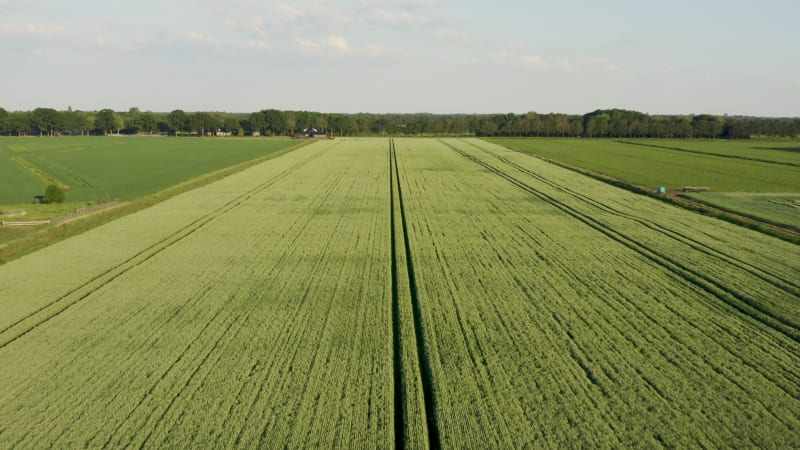 Flying over symmetrical field of crops