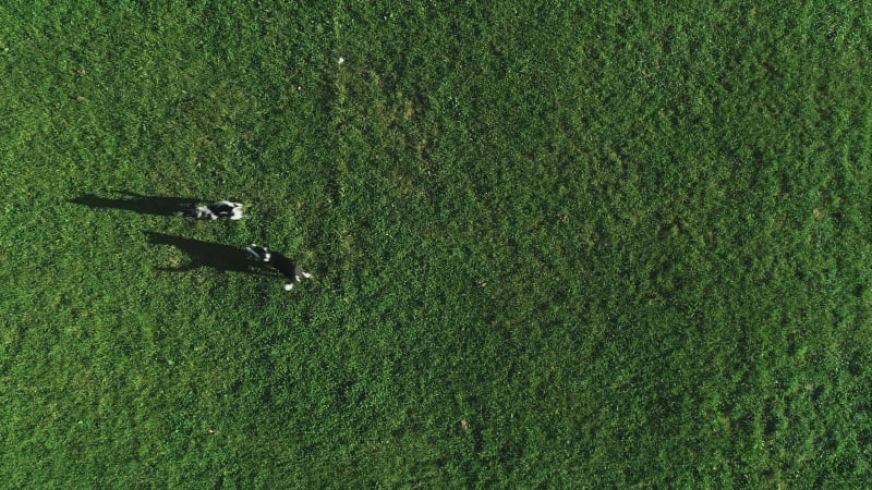 Aerial view of people with Hula Hoop in Zagreb, Croatia.