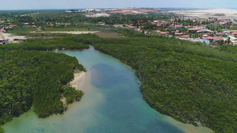 Aerial view of transparent river surrounded by rainforest, Cascalve.